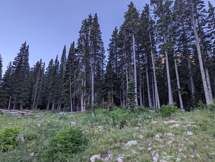 Fairy Lake Campground 9