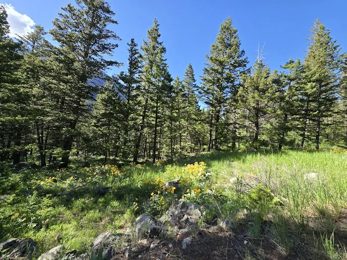 Woodbine Campground 7