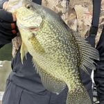 The Golden Chipmunk Campground / Resort Wascott WI