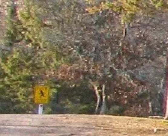 North View Campground, LLC