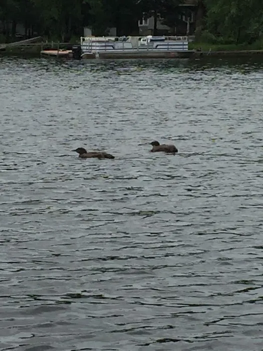 Island Lake Campground 4