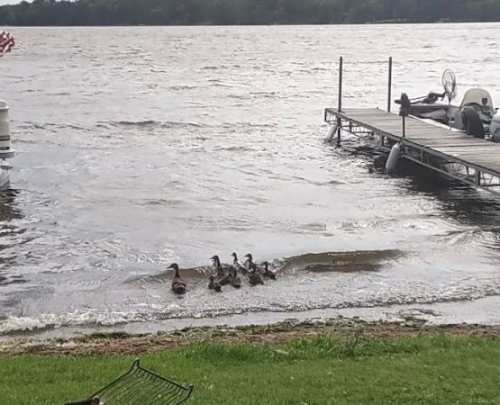 Island Lake Campground