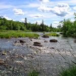 Cloquet River Campground
