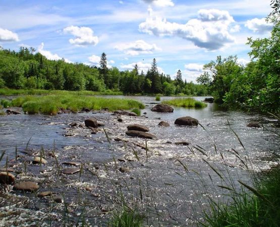Cloquet River Campground