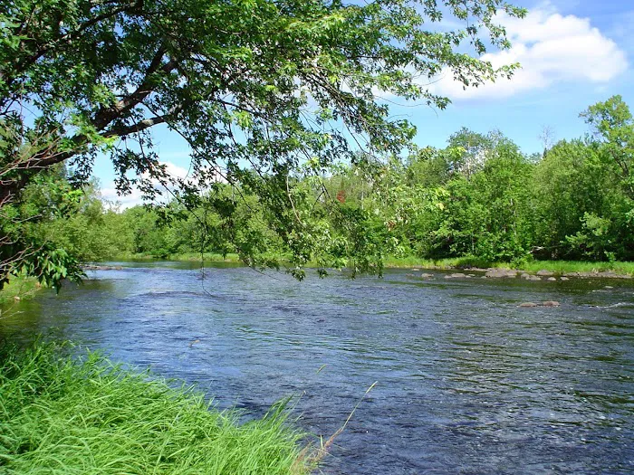 Cloquet River Campground 9