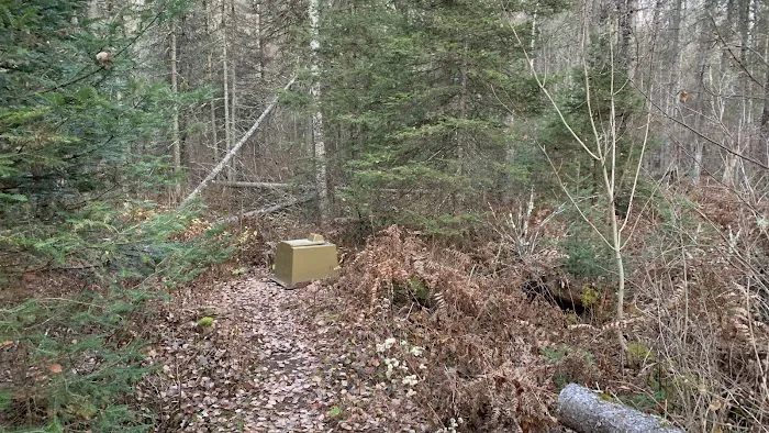 Sucker River Camp 3