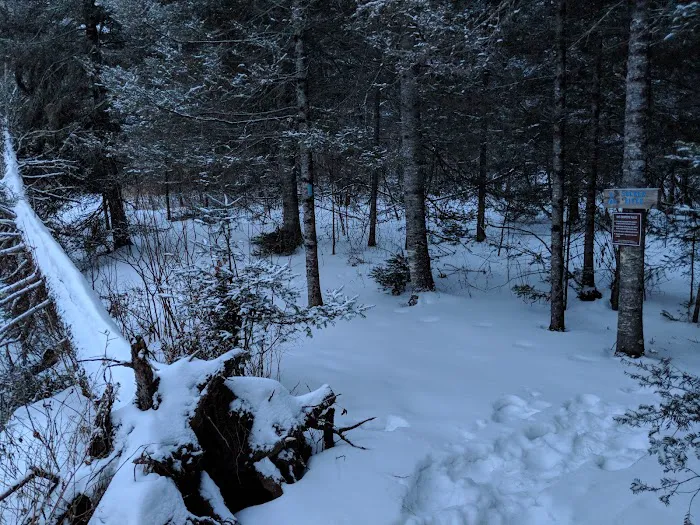 Sucker River Camp 2