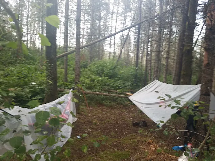 Sucker River Camp 9