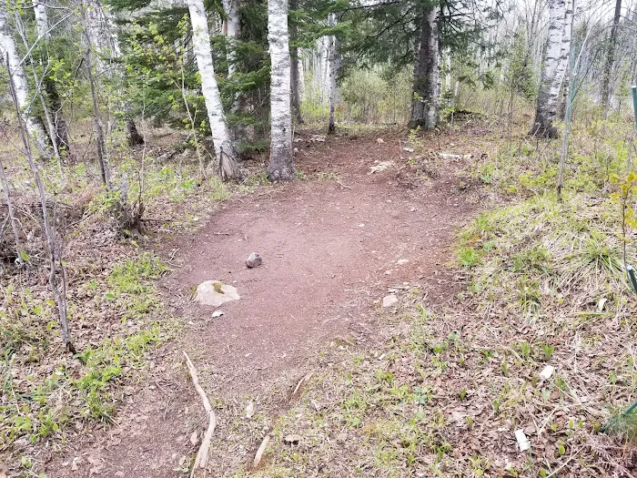 Fox Farm Pond Camp 3