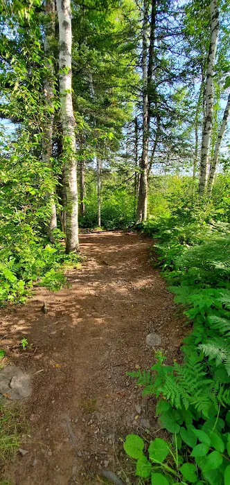 Fox Farm Pond Camp 1