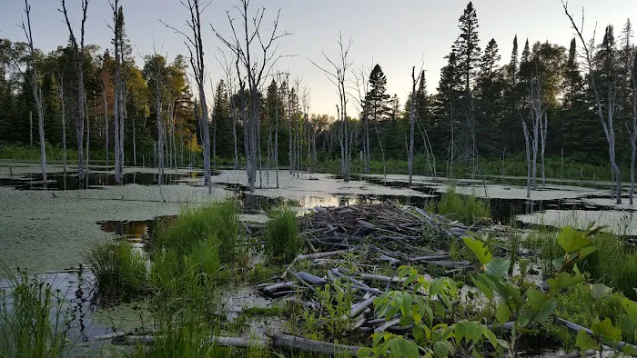 Fox Farm Pond Camp 2