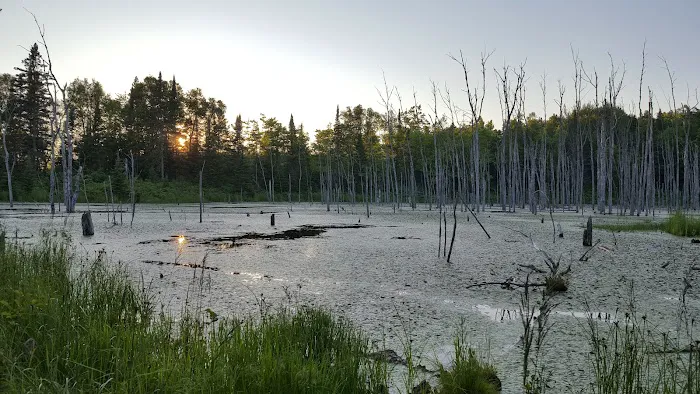 Fox Farm Pond Camp 5