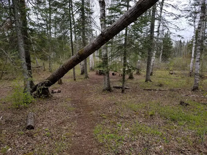 Fox Farm Pond Camp 8