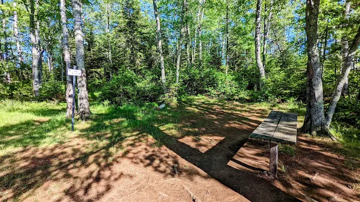 Island Lake Campsite #4 0