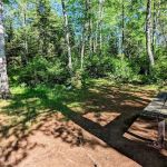 Island Lake Campsite #4