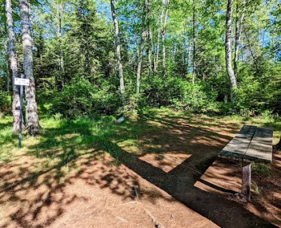 Island Lake Campsite #4