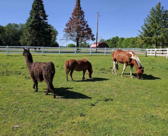 Red Barn Campground
