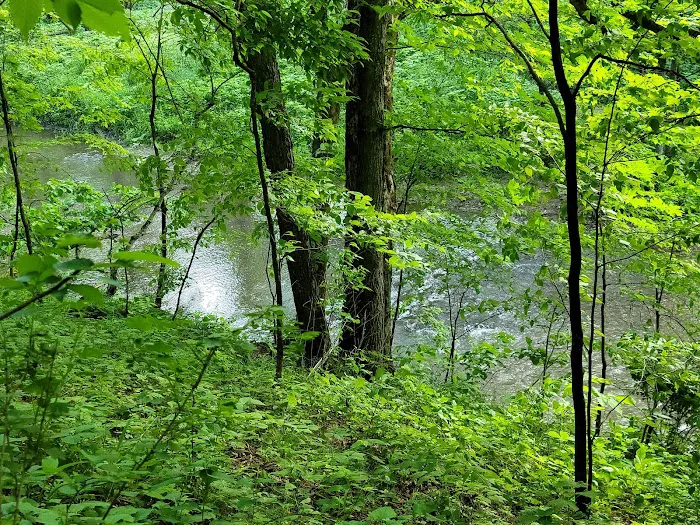 Carley State Park Campground 4