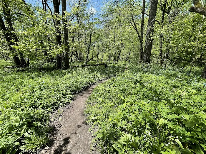 Carley State Park Campground 7