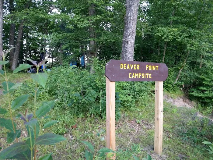 Beaver Point Campsite 1