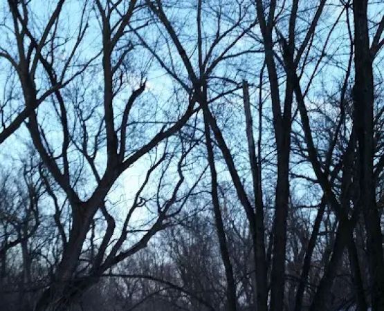 Creek Park