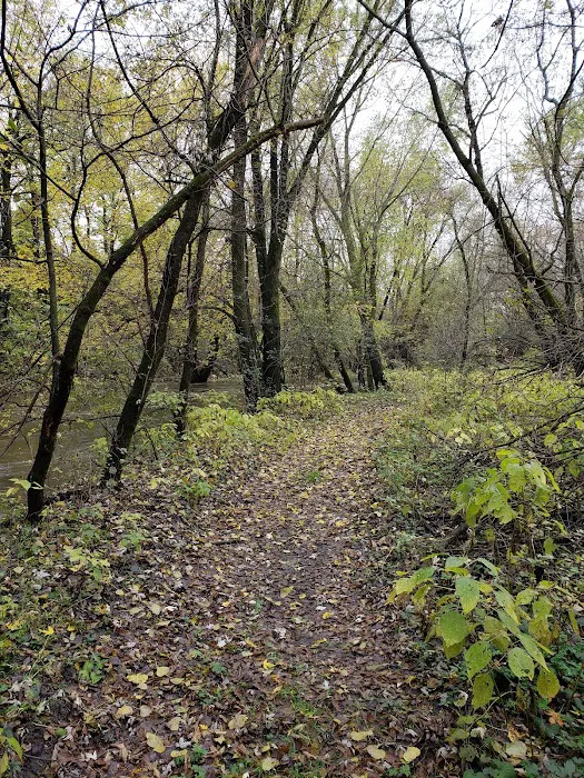 Creek Park 4