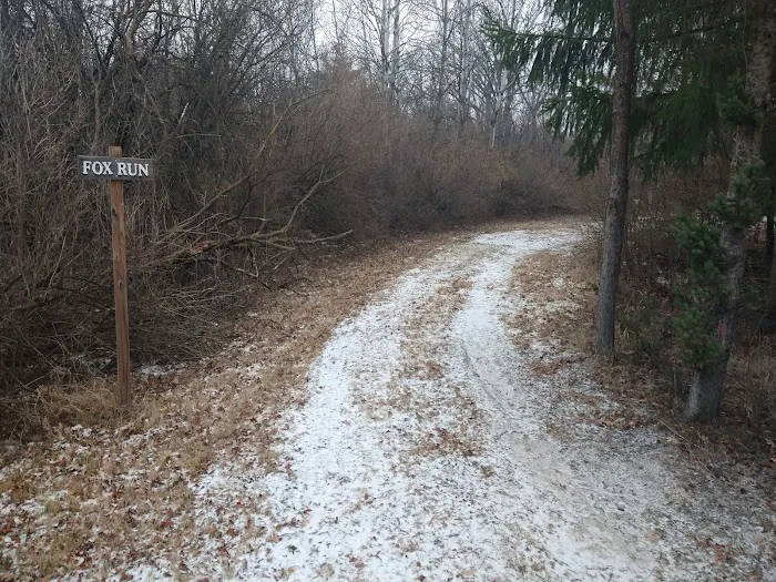 #4 Fox Run camp site 2