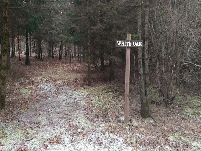 #7 White Oak camp site 0