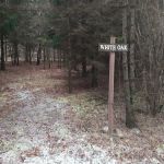 #7 White Oak camp site