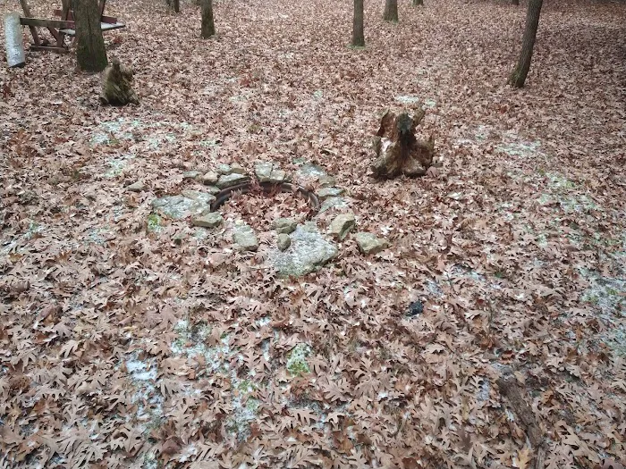 #7 White Oak camp site 1