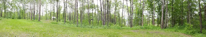 37 Acres RV & Campground 8