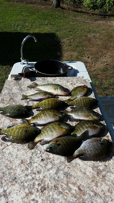 Pokegama Creek Campground 4