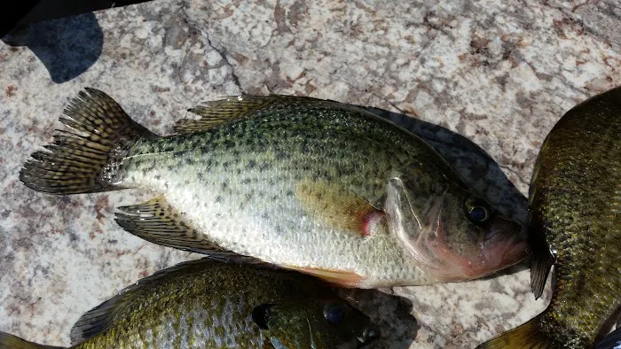 Pokegama Creek Campground 3