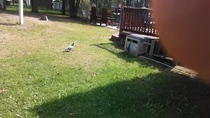 Lotts landing 7