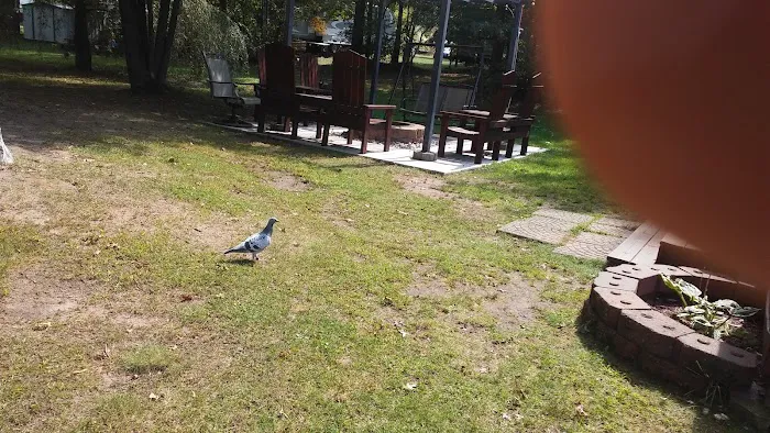 Lotts landing 9