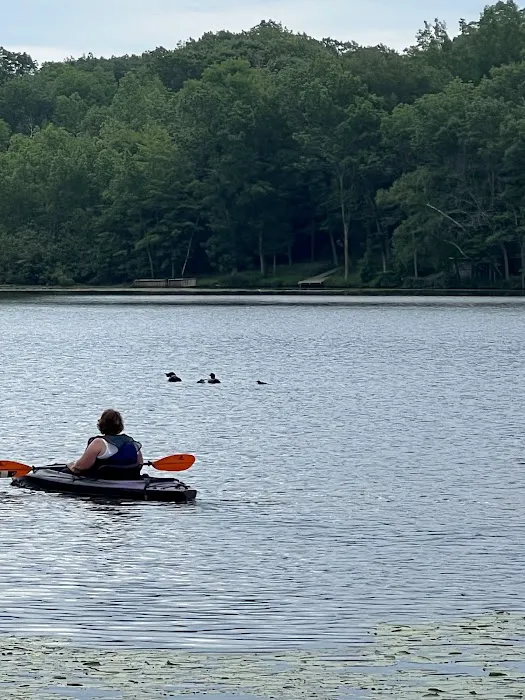 Lured In Resort & Campground 7