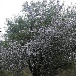 K & C Country Air Campground