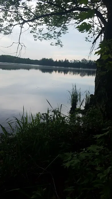 Loon Lake Campground 3