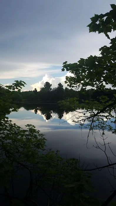 Loon Lake Campground 4