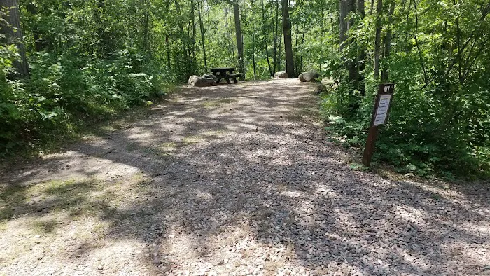 Murphy Flowage Campground 1