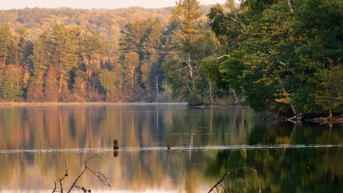 Murphy Flowage Campground 6
