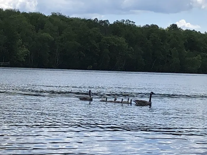 Long Lake East Side Campground 1