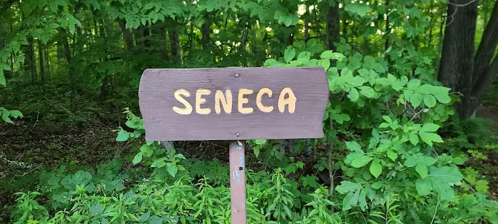 Seneca Campsite 0
