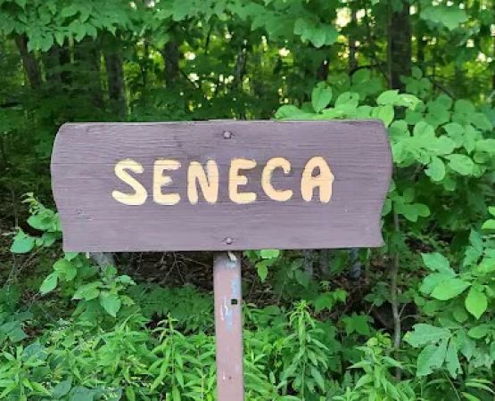Seneca Campsite