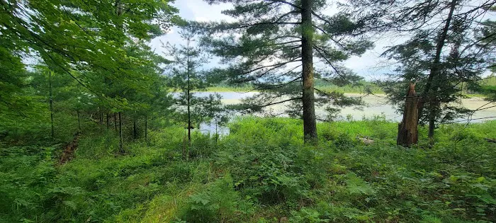 Seneca Campsite 5