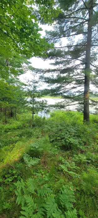 Seneca Campsite 4