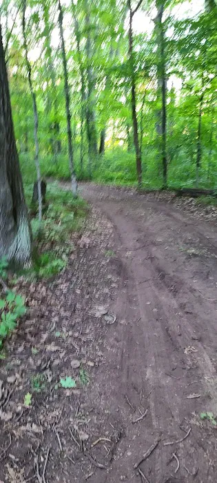 Seneca Campsite 3