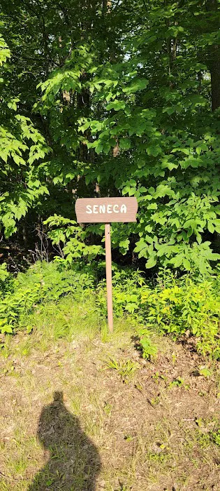 Seneca Campsite 6