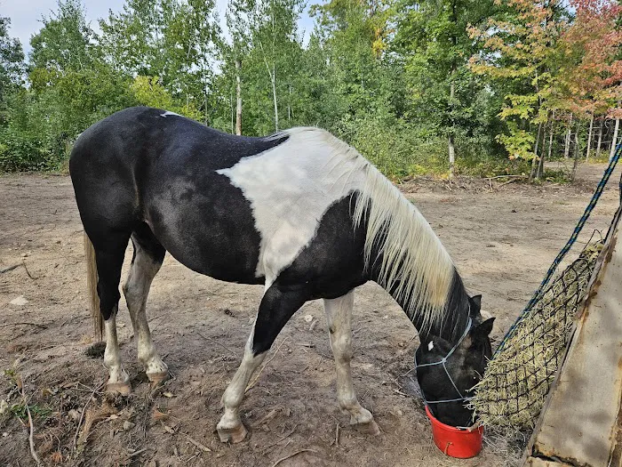 Walter E. Stark Assembly Area and Horse Campground 4