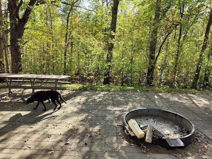 Sandy Lake Recreation Area Campground 7